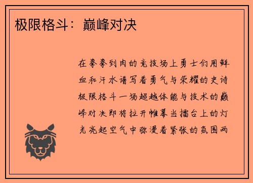 极限格斗：巅峰对决