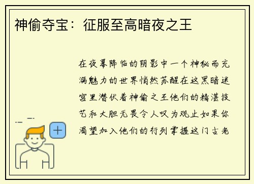 神偷夺宝：征服至高暗夜之王