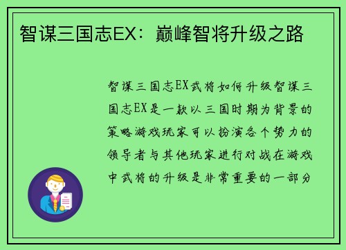 智谋三国志EX：巅峰智将升级之路