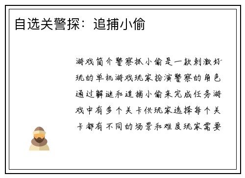 自选关警探：追捕小偷